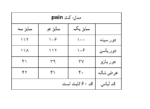بامبر جکت Pain - Image 15