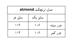 ترنچکت Almond - Image 8